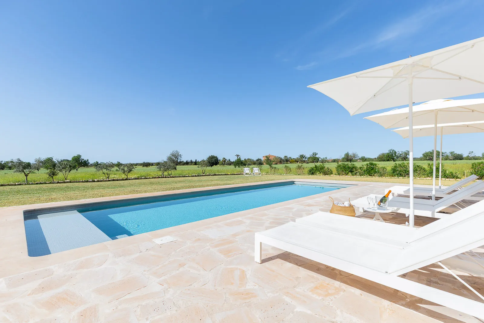 Finca Feliç 5